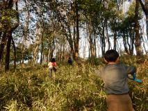子どもたちが童話の森の草をかきわけて走っている様子の写真