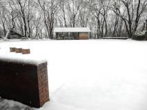 ひなた村のてっぺん広場とその後ろの林が、一面雪で覆われ真っ白になっている様子の写真