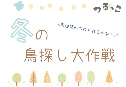 （イメージ）【つるっこ】冬の鳥探し大作戦【小学生以上とその保護者】
