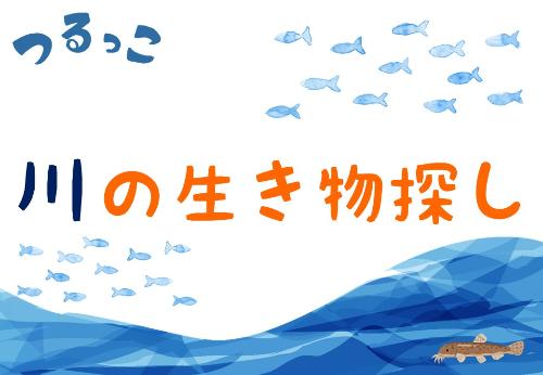 （イメージ）【つるっこ】川の生き物探し【小学生から18歳と保護者】