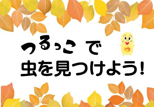 （イメージ）【つるっこ】つるっこで虫を見つけよう！【町田市在住・在学の年中から小学生】