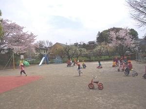 町田ときわ保育園の園庭の写真